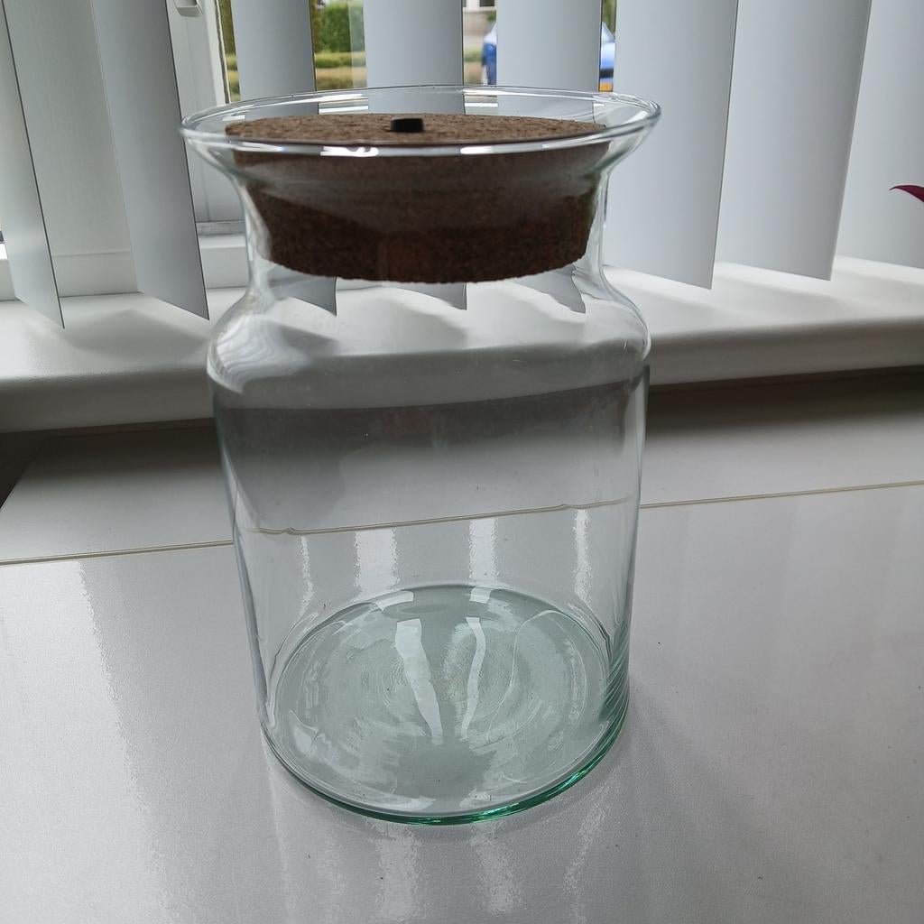 Planten Terrarium glas, Ophalen