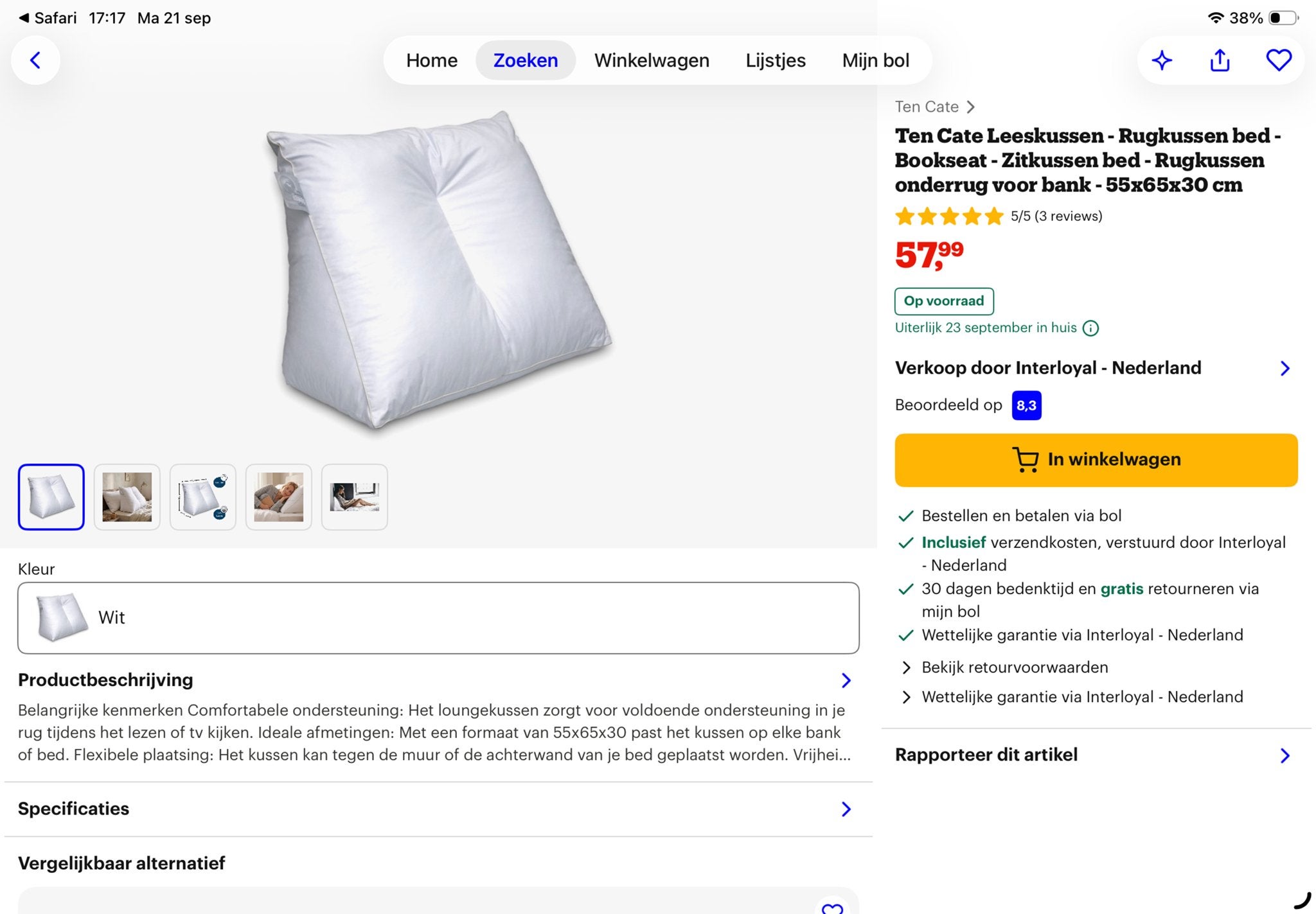 2 Ten Cate Leeskussens / Rugkussens - Wit, Ophalen, Overige merken, Rugkussen, Inclusief binnenkussen