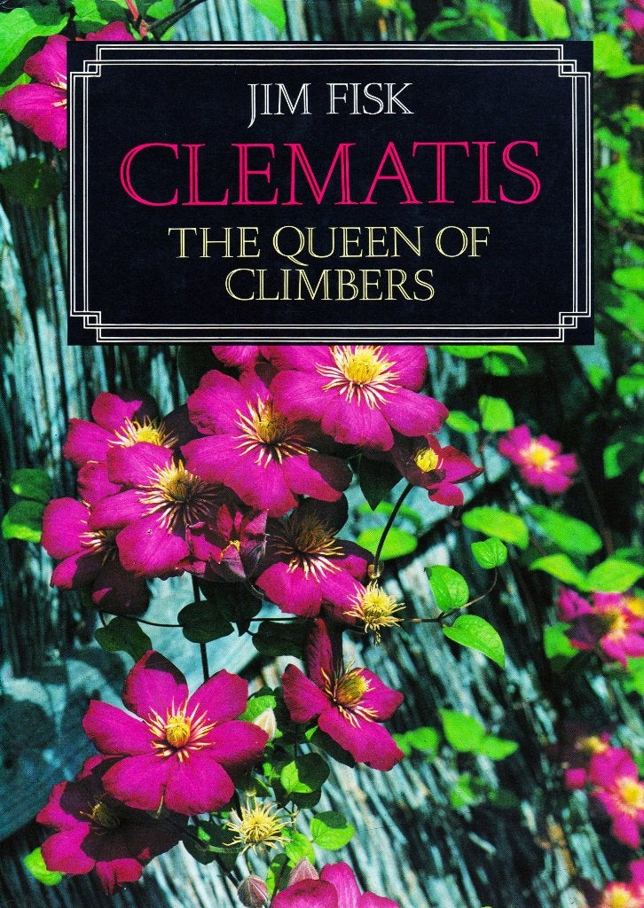 Clematis - Jim Fisk / 9780304316205, Boeken, Wonen en Tuinieren, Ophalen of Verzenden, Zo goed als nieuw, Jim Fisk, Tuinieren en Tuinplanten