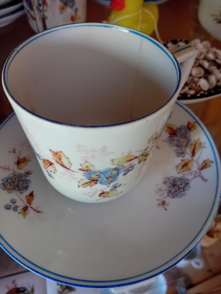 Vintage porseleinen kop en schotel met bloemmotief 6 stuks, Ophalen of Verzenden