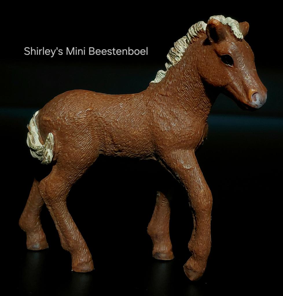 schleich ijslander veulen, Ophalen of Verzenden, Gebruikt, Paard, Beeldje of Figuurtje