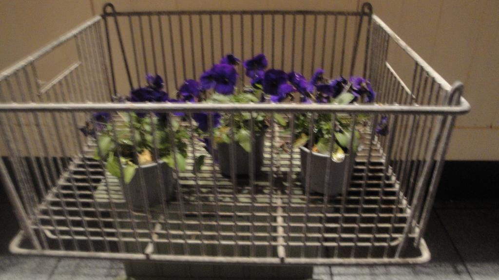 antieke krat mand leuk met bloemen, Tuin en Terras, Tuinvazen, Ophalen of Verzenden