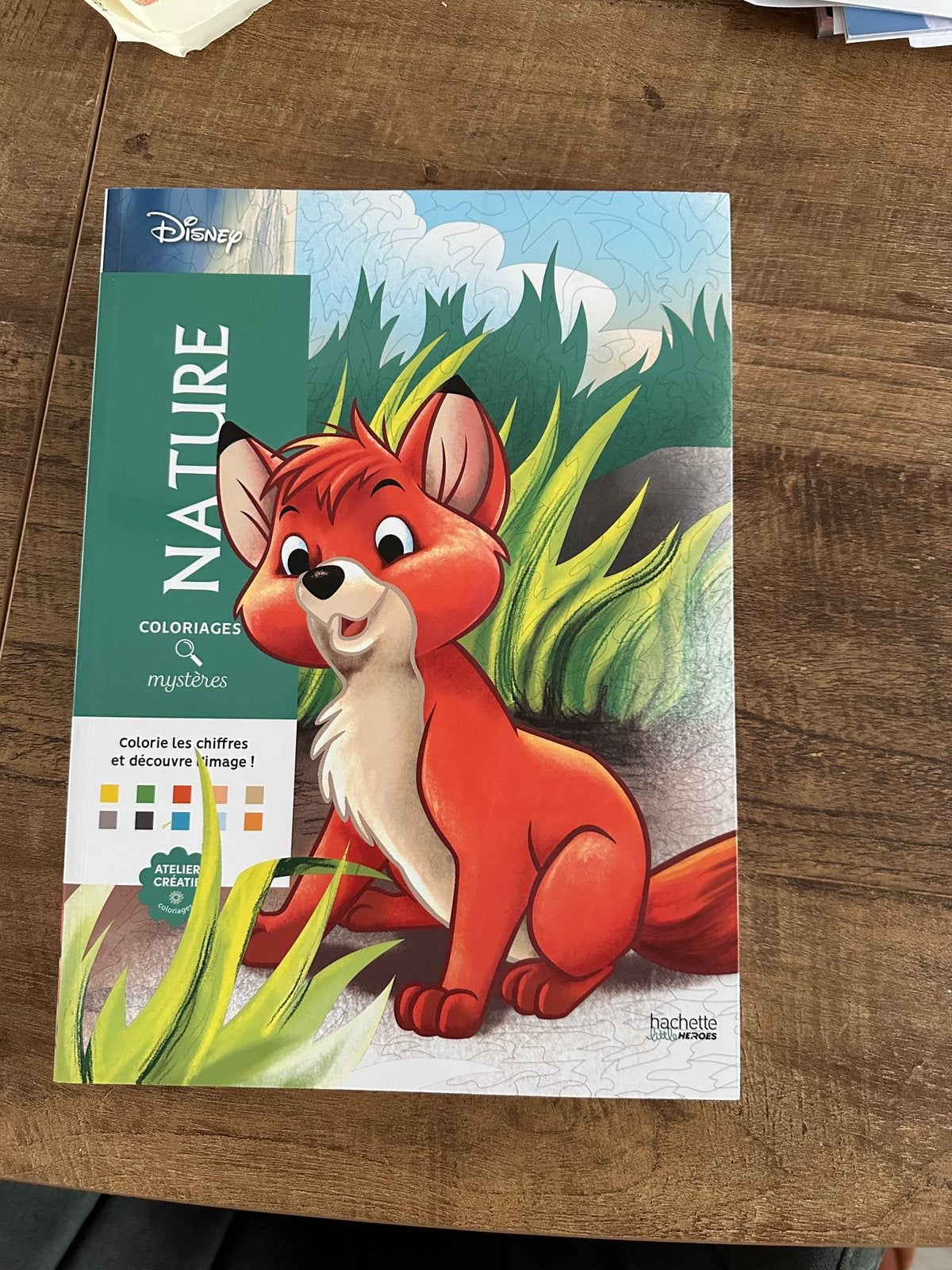 Kleurboek Disney hachette heroes nature, Ophalen of Verzenden, Zo goed als nieuw
