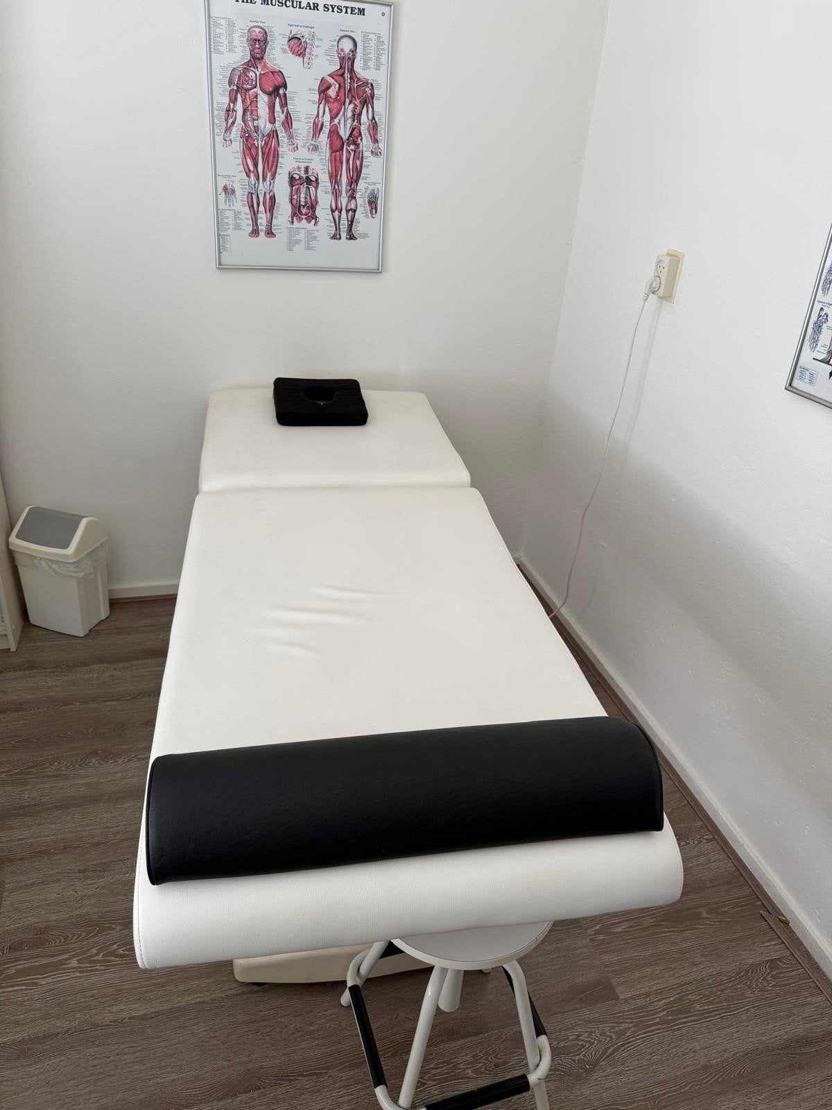 Professionele behandeltafel IN PRIJS VERLAAGD!, Ophalen of Verzenden, Massagetafel