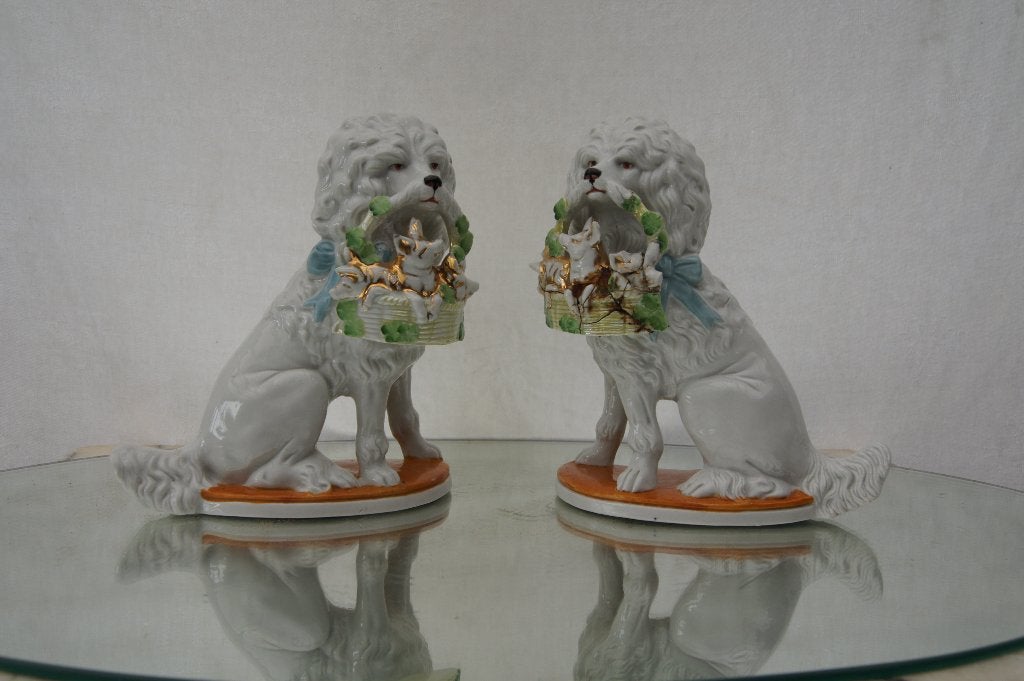 Hondjes met biggen in de mandjes, Ophalen of Verzenden