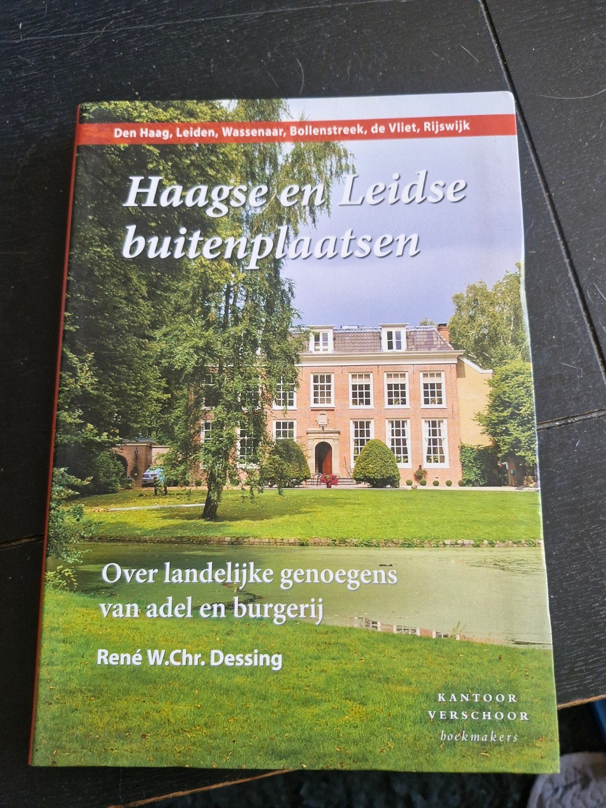 haagse en leidse buitenplaatsen, Boeken, Geschiedenis | Stad en Regio, Ophalen of Verzenden, Zo goed als nieuw