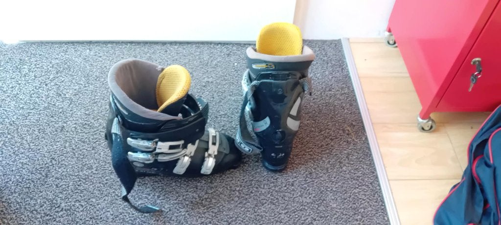 Skischoenen Salomon maat 45, Sport en Fitness, Skiën en Langlaufen, Ophalen, 160 tot 180 cm, Schoenen, Salomon