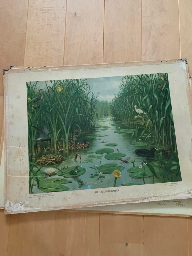 Schoolplaat koekoek origineel, Ophalen