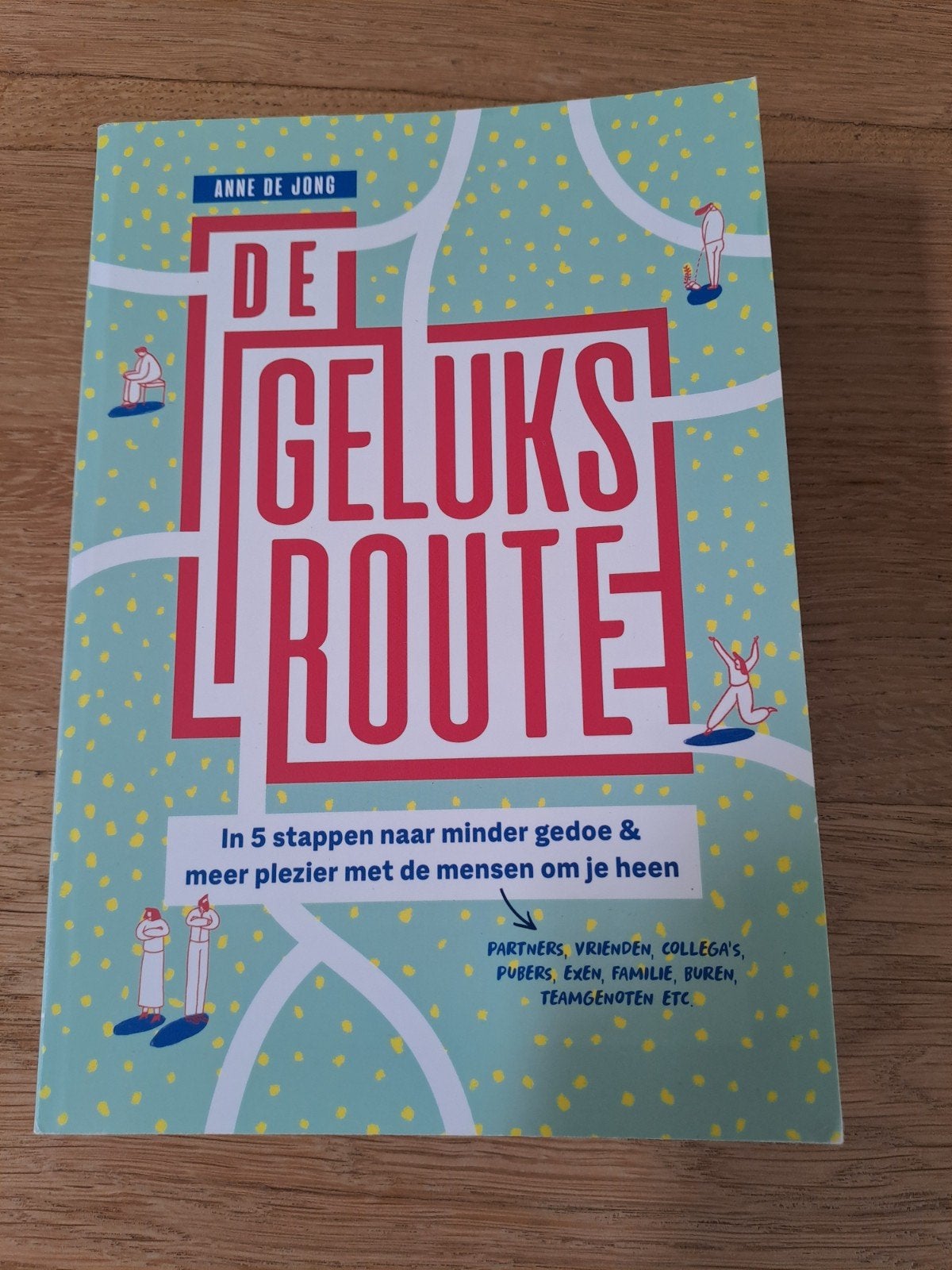 Anne de Jong - De geluksroute, Ophalen of Verzenden, Zo goed als nieuw