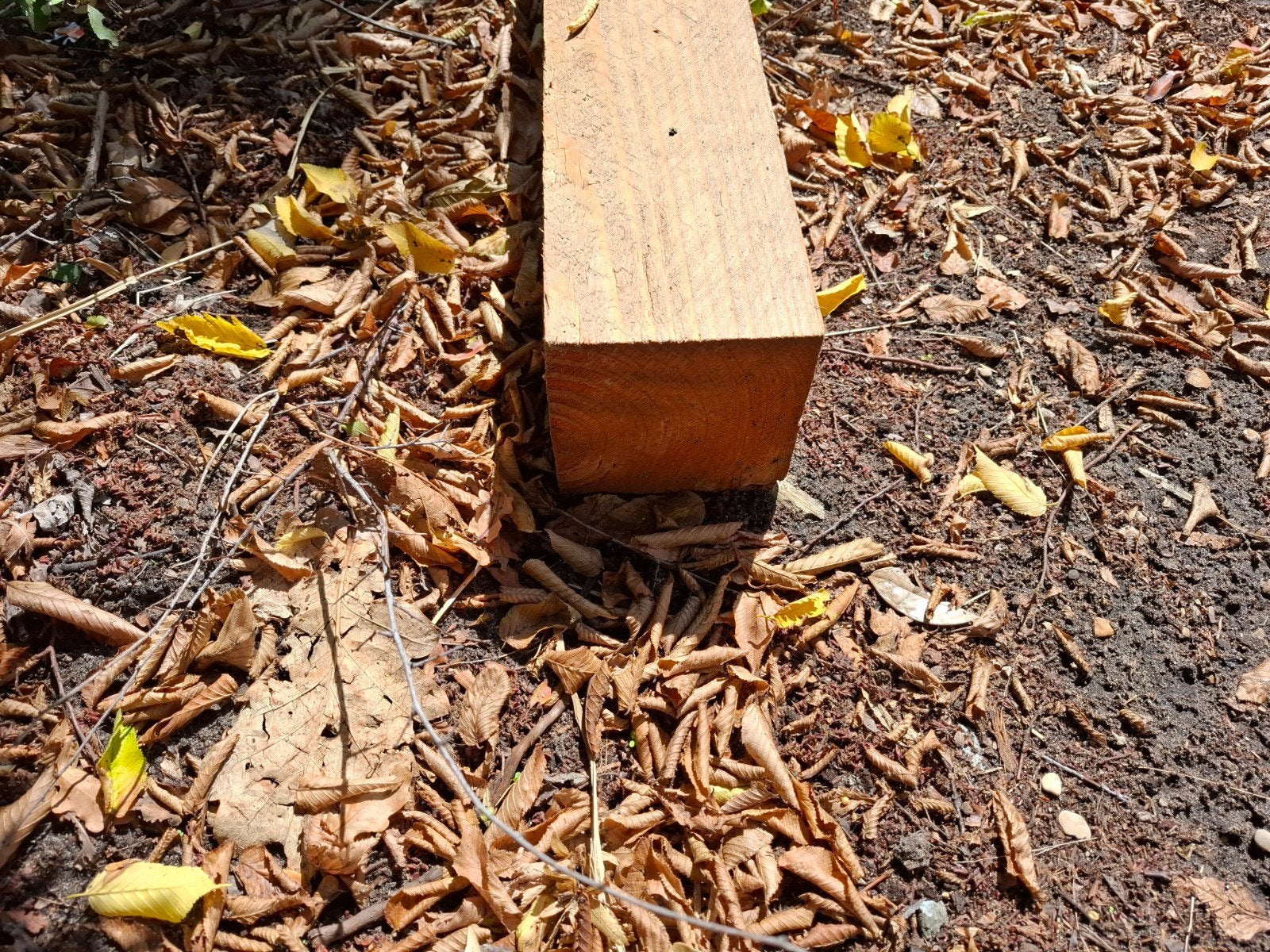 1 douglas paal 300cm lang  12x12 dik., Ophalen, Nieuw, 250 cm of meer, Palen