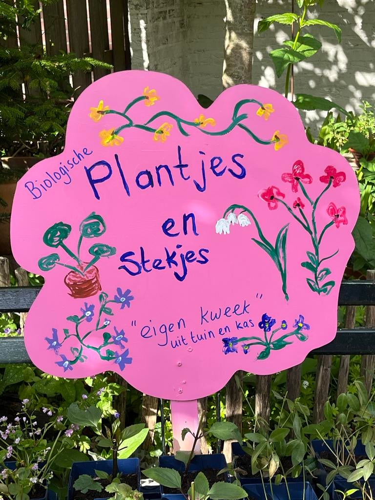 Biologische plantjes en gewortelde stekjes: binnen & buiten, Vaste plant, Halfschaduw, Lente, Ophalen