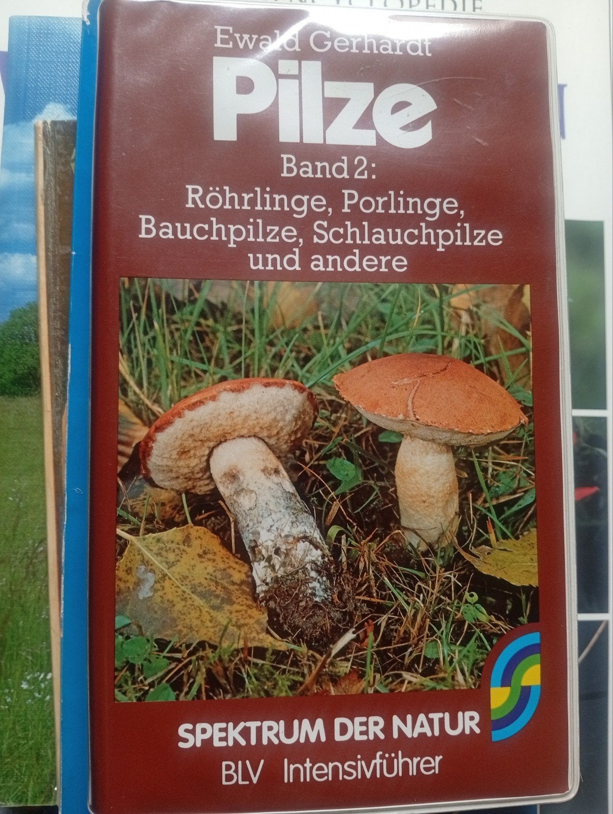 Pilze Band 2: Röhren-, Porling-, Buik- en Slangzwammen, Ophalen of Verzenden