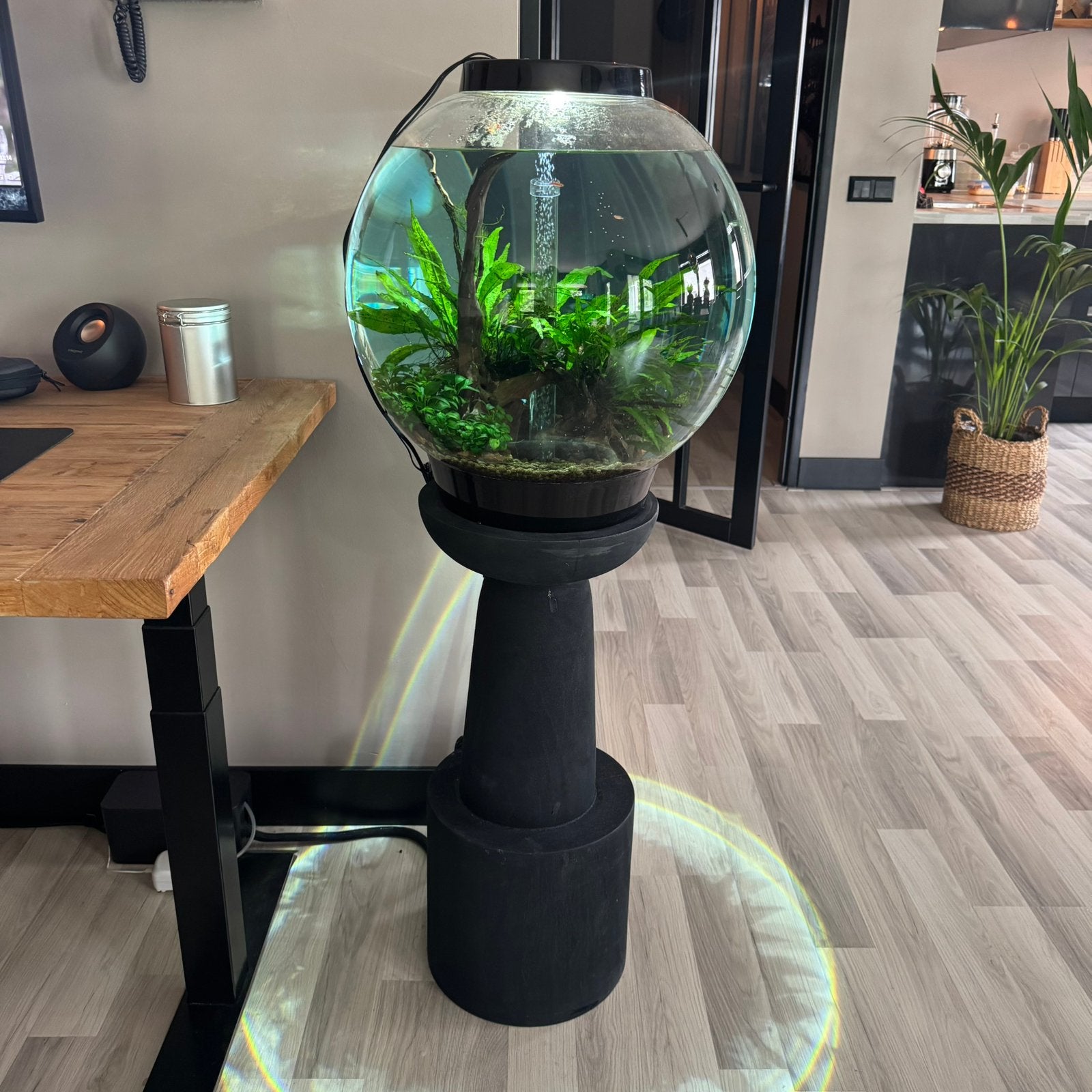 BioOrb 60 MCR LED Compleet + FilterPro Upgrade, Dieren en Toebehoren, Vissen | Aquaria en Toebehoren, Ophalen, Oase, Inclusief vissen