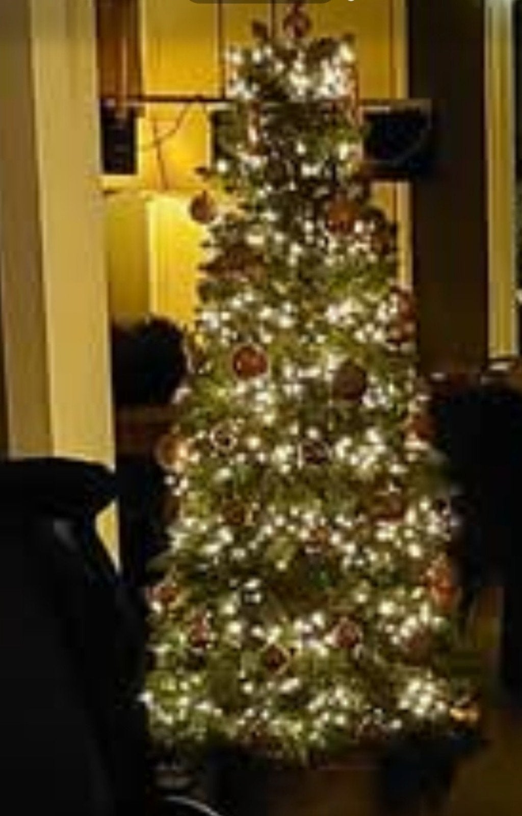 kerstboom, Huis en Inrichting, Ophalen, Zo goed als nieuw
