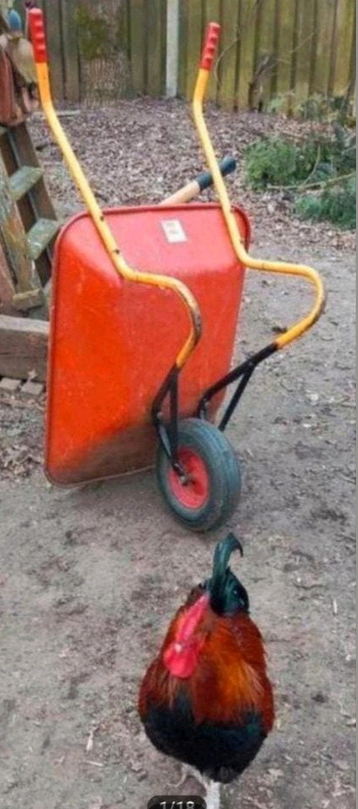 Vintage Ravendo Kruiwagen - Uitstekende Staat, Ophalen of Verzenden