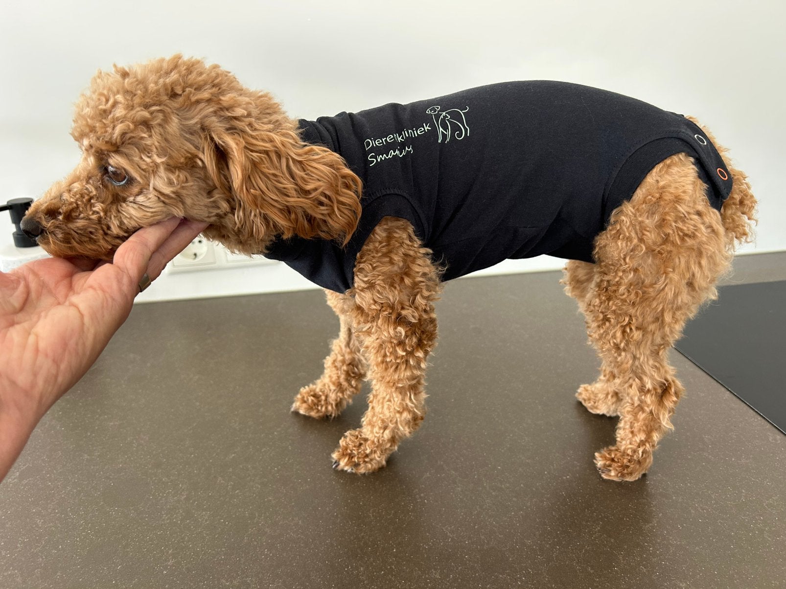 Operatie sterilisatie pakje hond merk MPS, Overige hondenkleding, XS, Medisch/beschermend, Medical Pet Shirt