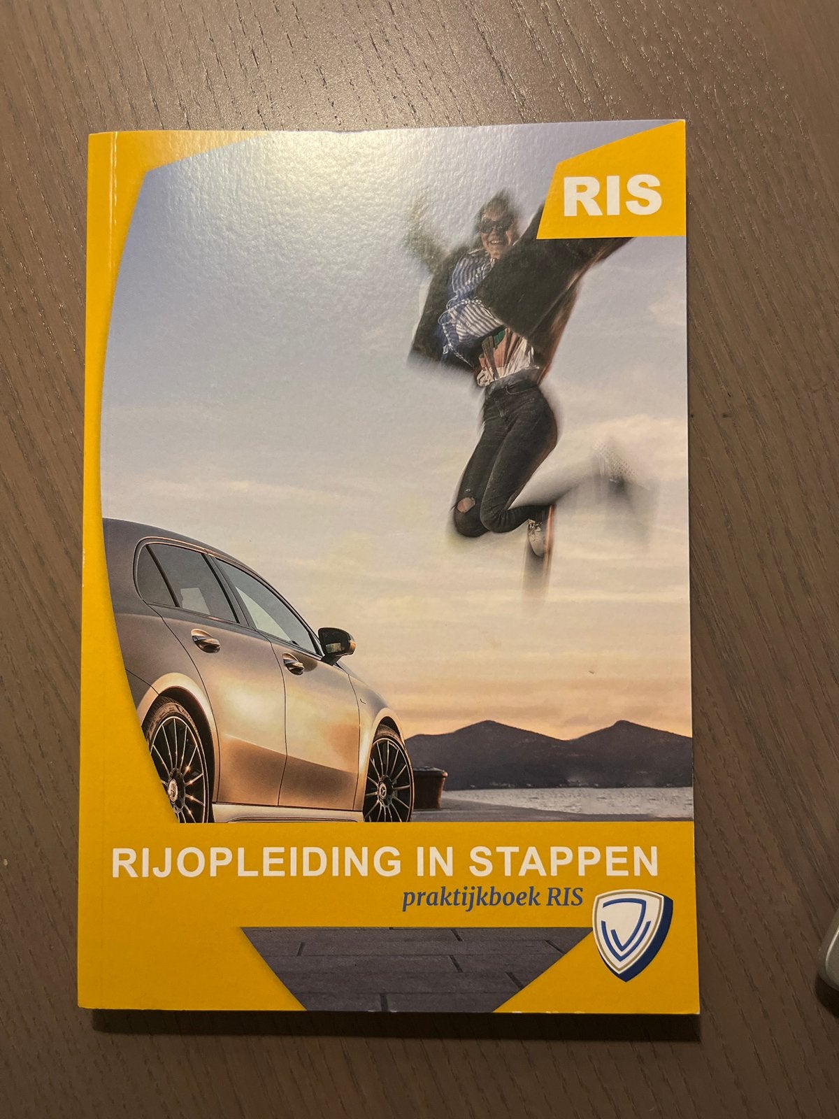 Rijopleiding in Stappen Praktijkboek RIS, Ophalen of Verzenden, Zo goed als nieuw, Niet van toepassing