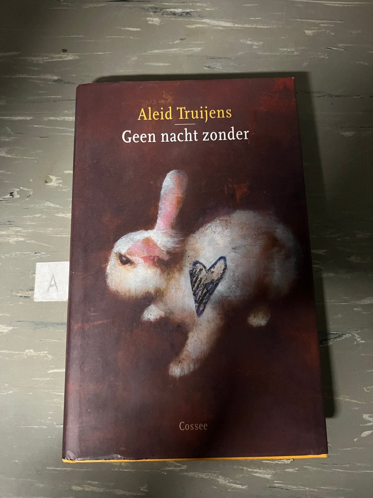 Aleid Truijens - Geen nacht zonder (roman), Ophalen of Verzenden, Gelezen