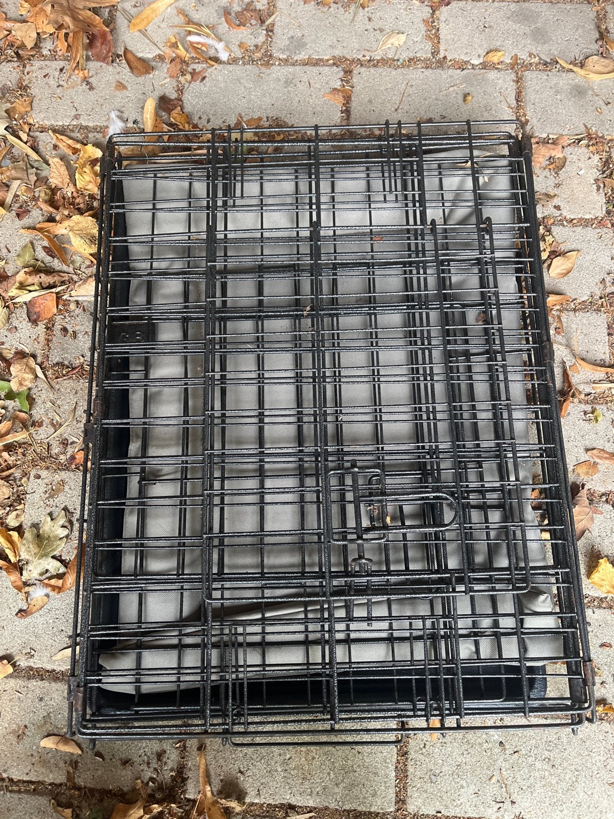 Bench voor kleine hond of puppy, Ophalen, Gebruikt