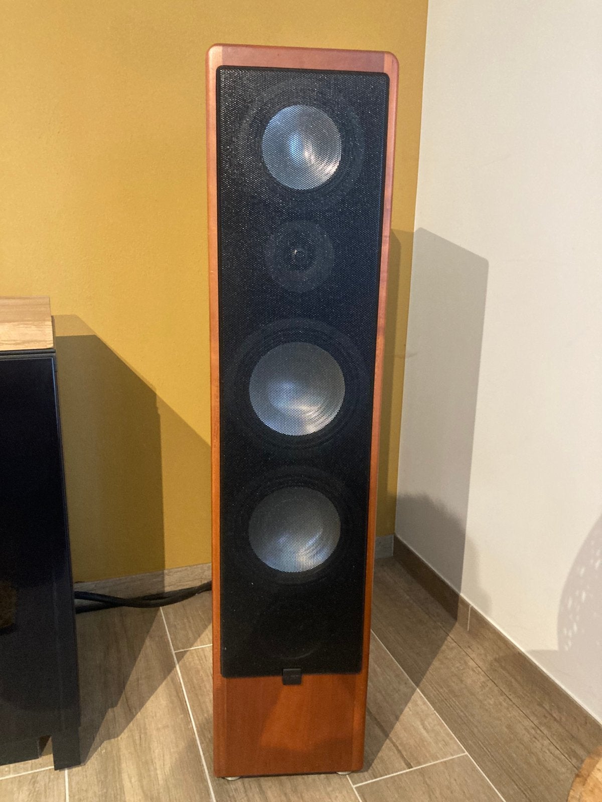Canton RC-A, Audio, Tv en Foto, Vloerstaande luidspreker, Zo goed als nieuw, Ophalen, 150 watt of meer