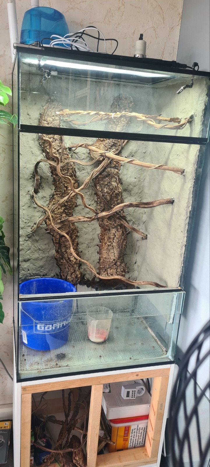 Glazen Terrarium 70x50x120, Dieren en Toebehoren, Ophalen, Gebruikt