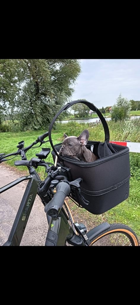 Trixie hondenfietsmand zo goed als nieuw!, Dieren en Toebehoren, Honden-accessoires, Ophalen, Zo goed als nieuw