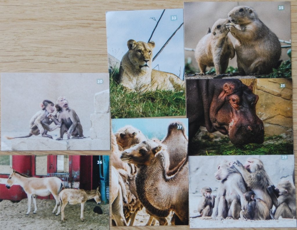 55 stickers Wildlands adventure Zoo Emmen, Albert Heijn, Ophalen of Verzenden