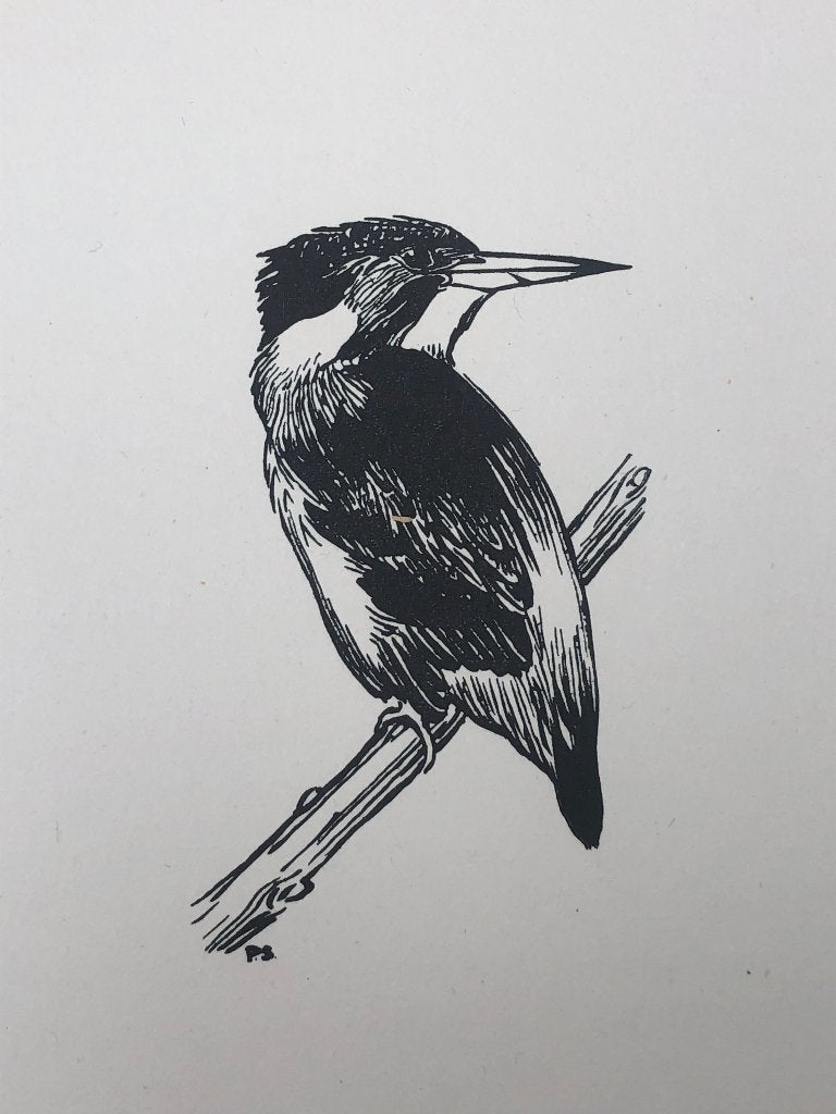 Mooie, betaalbare kunst v/h Grafiekkabinet Peter Scott, Verzenden
