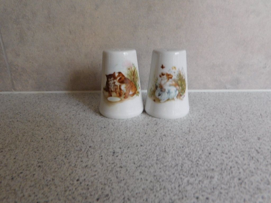 Peper en Zoutstel Fine Bone China Kat en Konijn, Overige merken, Overige typen, Ophalen of Verzenden, Zo goed als nieuw