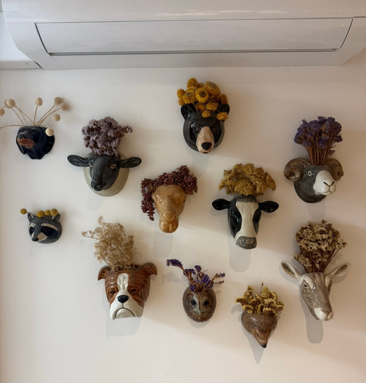 Collectie Quail wandvazen met droogbloemen, Ophalen, Meerkleurig, Nieuw, Geschikt voor droogbloemen