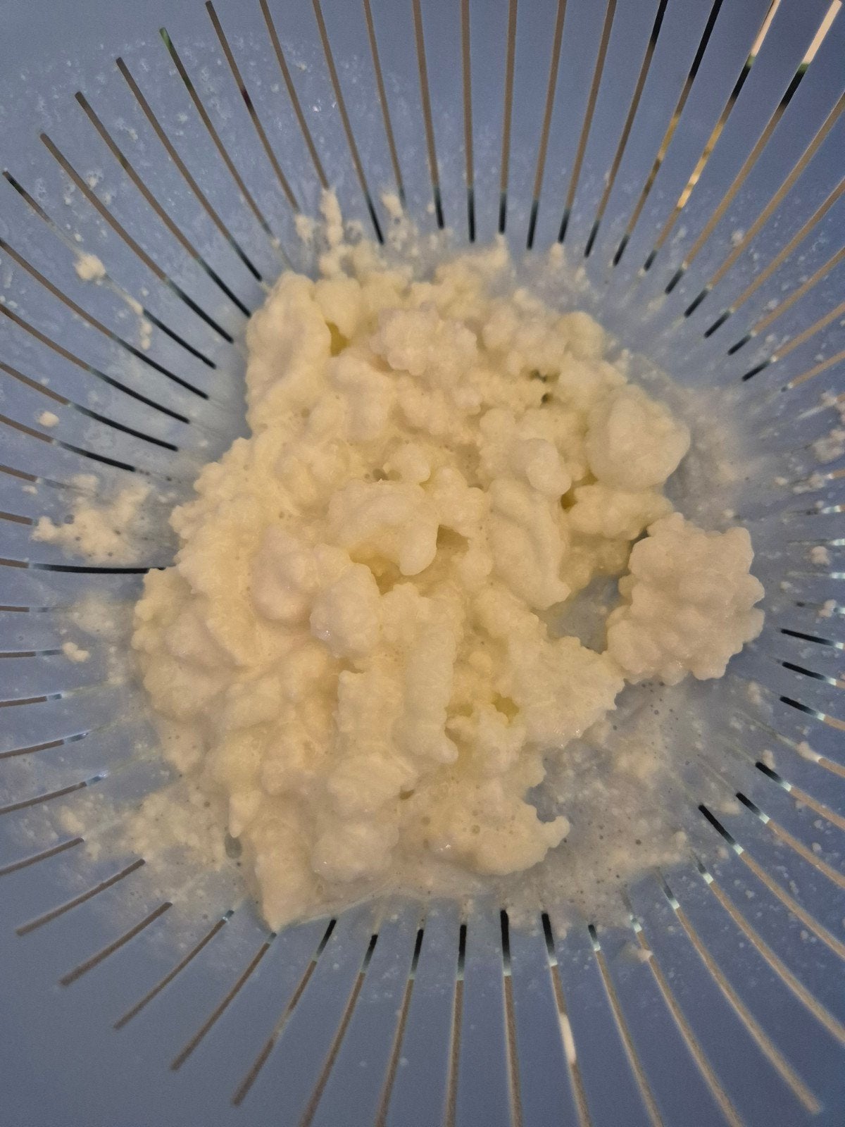 Biologische melk kefir, Ophalen of Verzenden