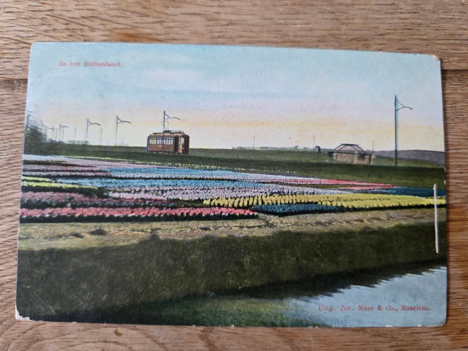 bollenvelden omgeving Haarlem, Ophalen of Verzenden