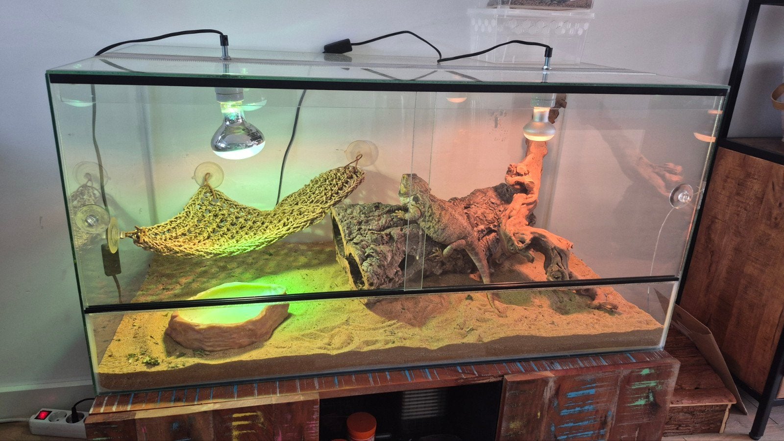 Glazen terrarium 100x50x50, Ophalen, Gebruikt, Terrarium of Paludarium