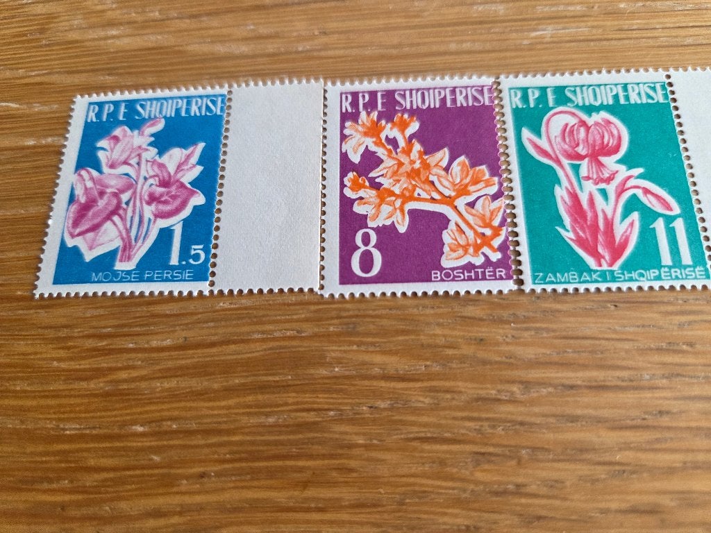 Albanië bloemen, Verzenden, Buitenland