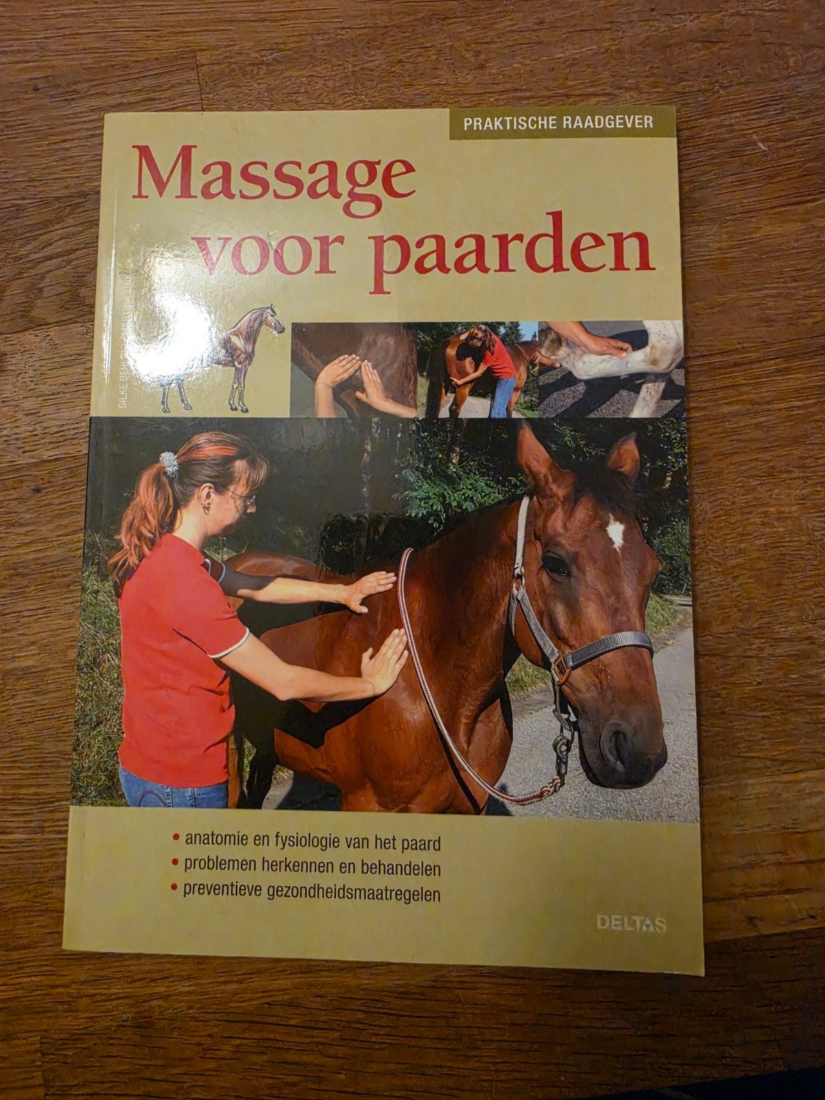 Massage voor paarden - Praktische Raadgever, Ophalen of Verzenden, Gelezen
