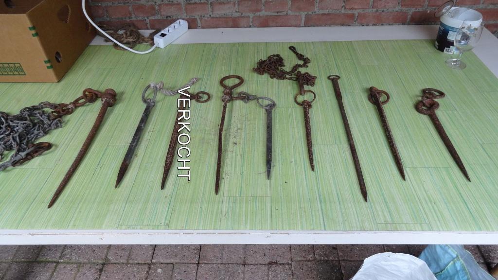 Stik, spit, diverse met of zonder ketting pony, schaap geit, Dieren en Toebehoren, Vrouwelijk, Geit