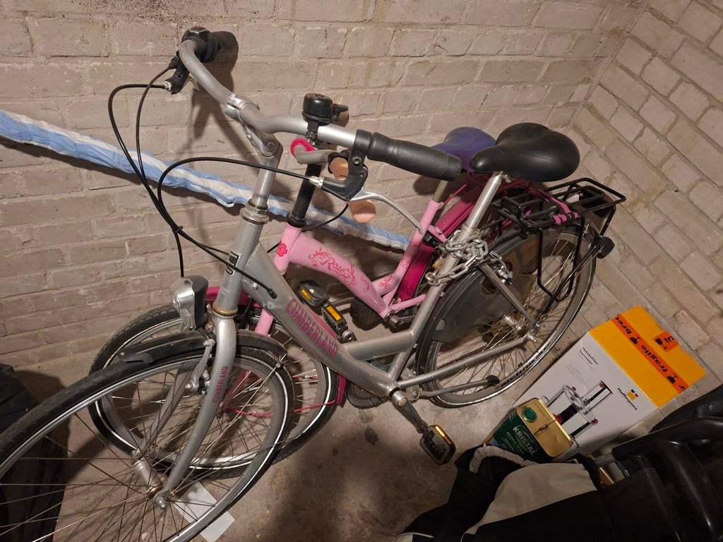 2 fietsen samen voor €40, Fietsen en Brommers, Fietsen | Dames | Damesfietsen, Ophalen, Gebruikt, Overige merken