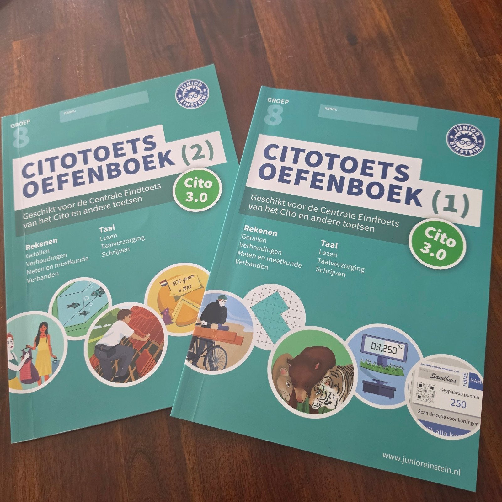 Cito Oefenboek Groep 8 (deel 1 en 2) Junior Einstein, Boeken, Ophalen of Verzenden, Zo goed als nieuw, Overige niveaus, Nederlands