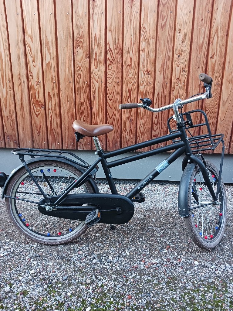 Alpina kinderfiets mat zwart 20 inch, Ophalen, Velgrem, Alpina, 16 tot 20 inch