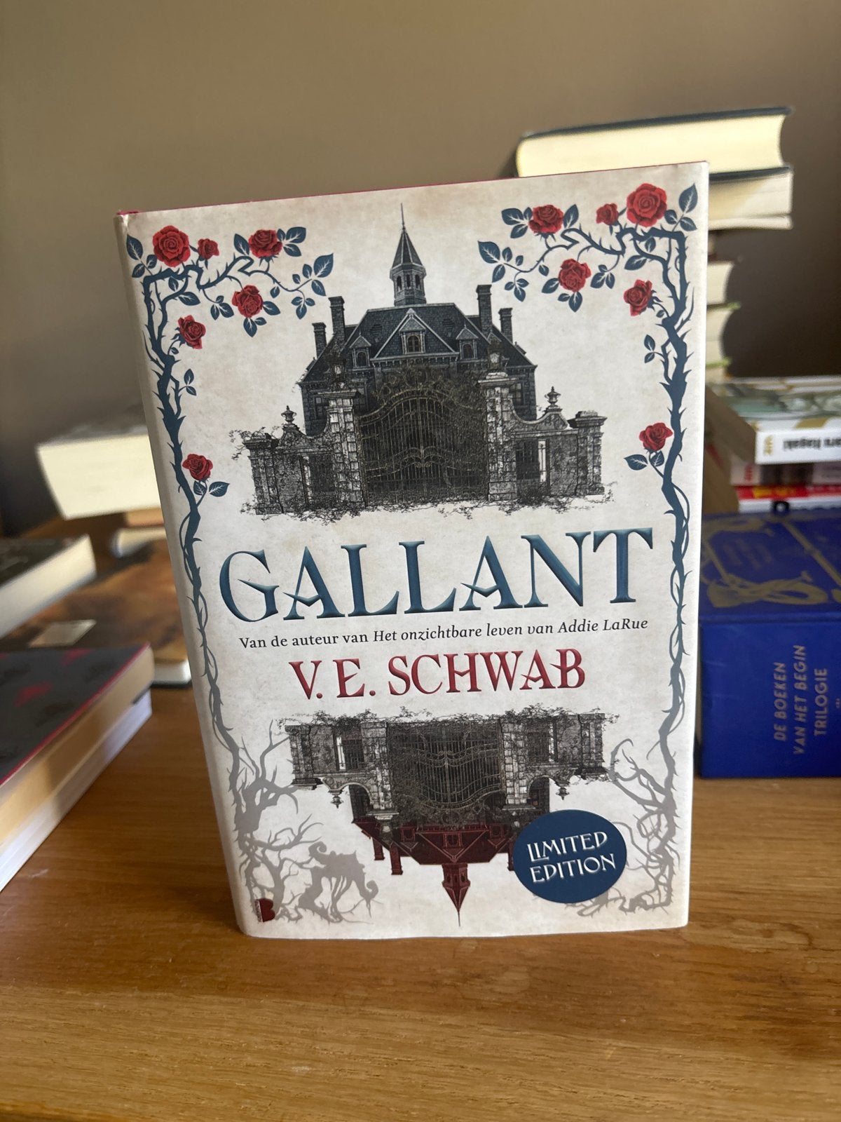 Gallant - V.E. Schwab (Limited Edition), Ophalen, Zo goed als nieuw