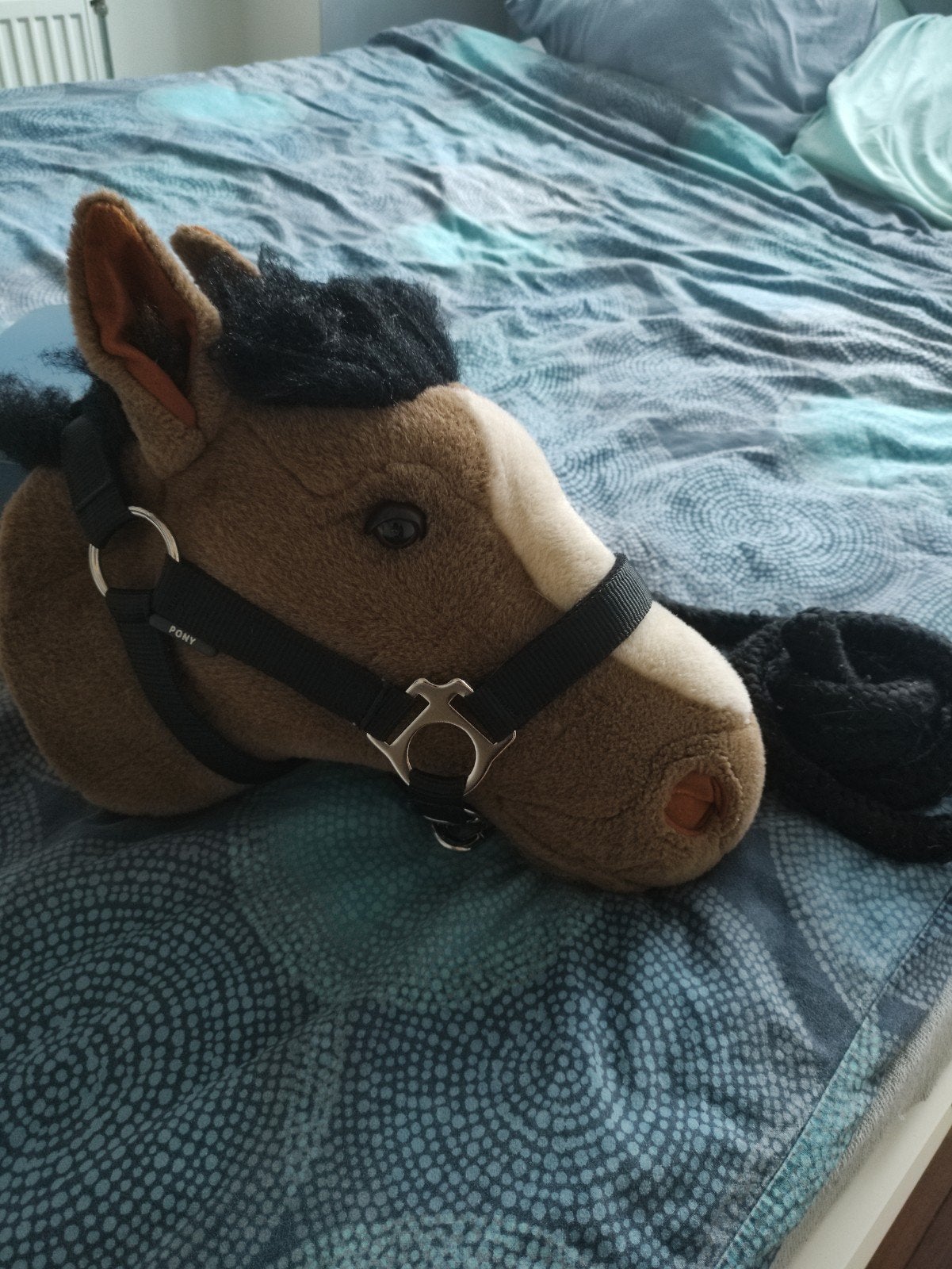 nieuw pony halster zwart, Ophalen
