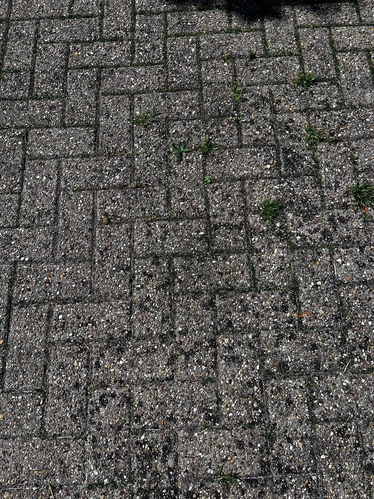80m2 Klinkers 21x10x8 cm - Gratis afhalen en zelf oprapen, Ophalen, Overige materialen, Gebruikt, Overige typen