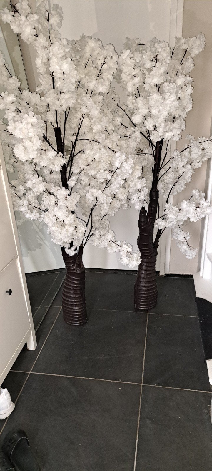 prachtige bloesemboom wit!, Ophalen of Verzenden