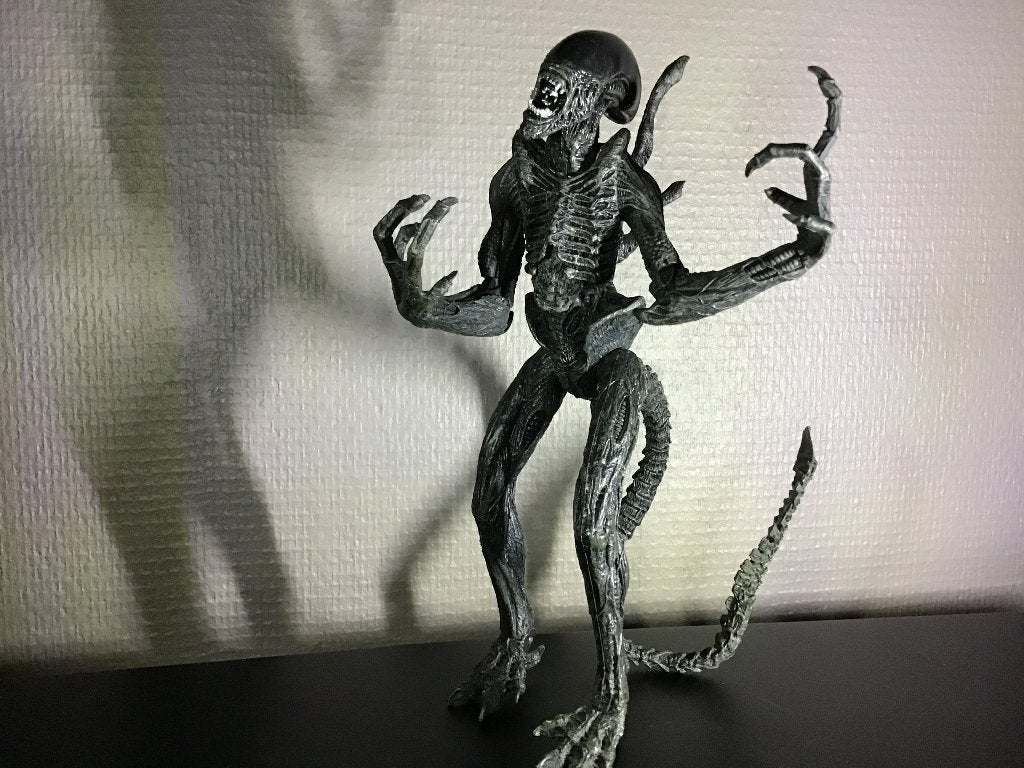 Alien warrior classic black, Ophalen, Foto of Kaart