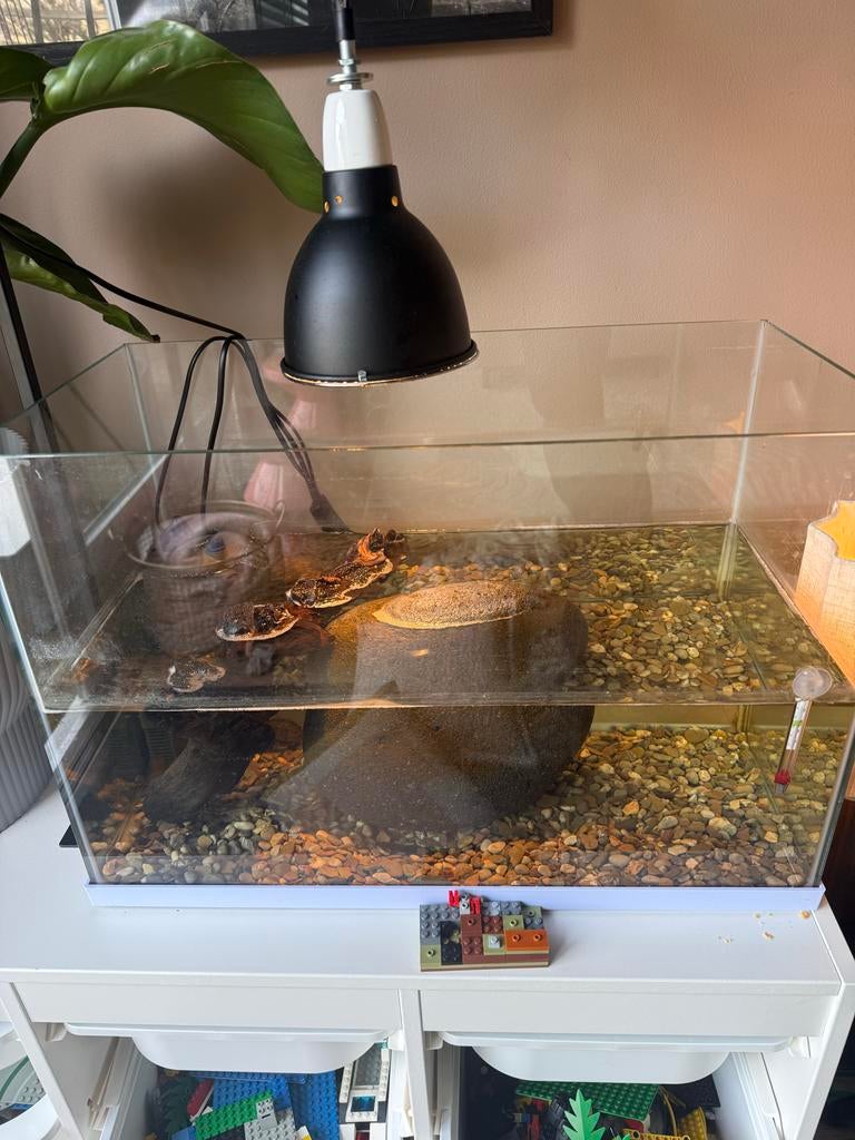 Superfish 70 aguarium met alle toebehoren, Ophalen, Leeg aquarium