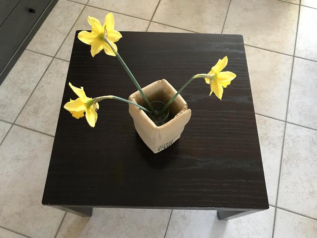 Houten salontafeltje, Ophalen, Gebruikt, 50 tot 100 cm, 50 tot 100 cm
