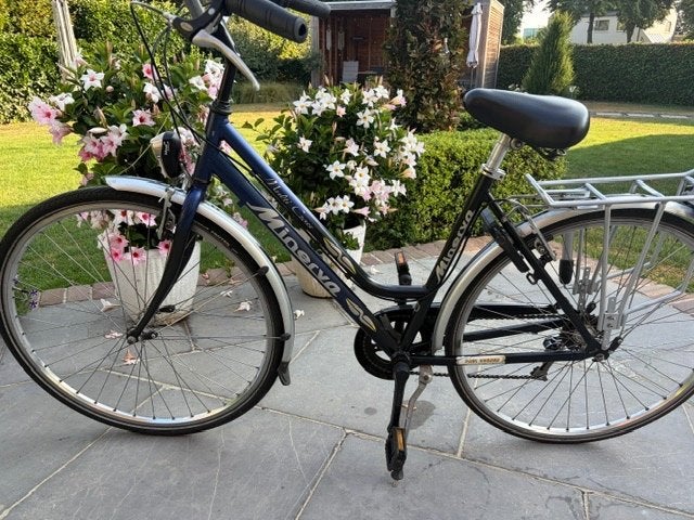 Minerva Multi Cross, Fietsen en Brommers, Gebruikt, Velgrem, Versnellingen, 50 tot 53 cm