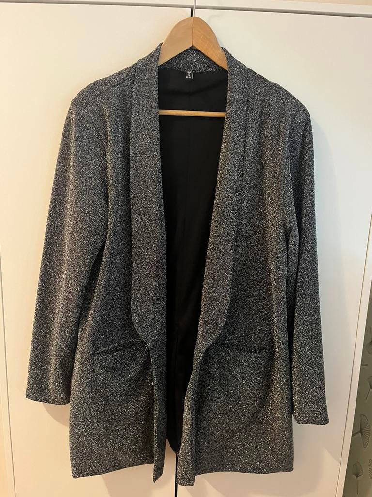 Blazer met glitters maat XL, Maat 46/48 (XL) of groter, Ophalen of Verzenden, Zo goed als nieuw, Jasje
