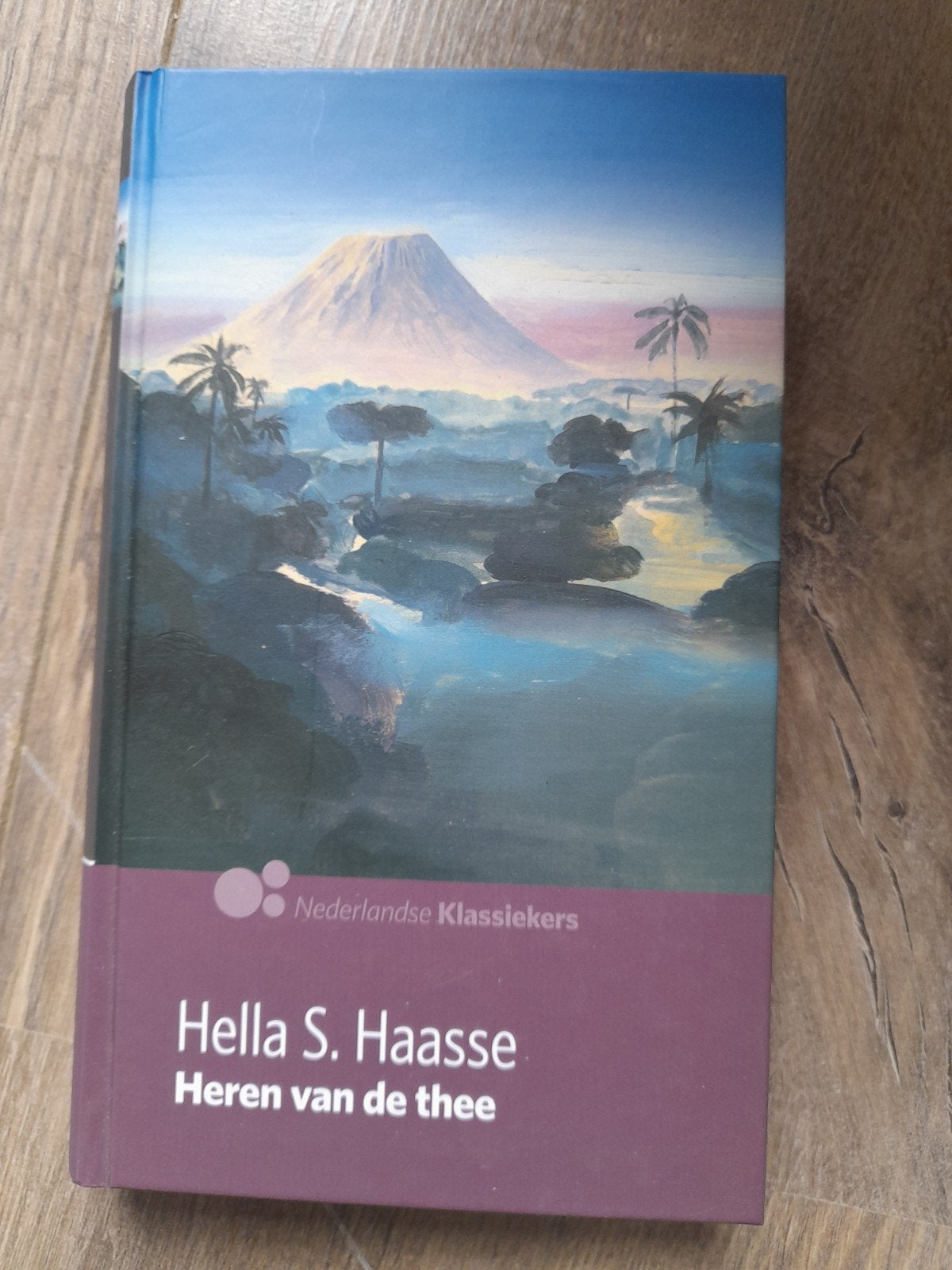 Heren van de Thee - Hella Haasse, Ophalen of Verzenden, Zo goed als nieuw