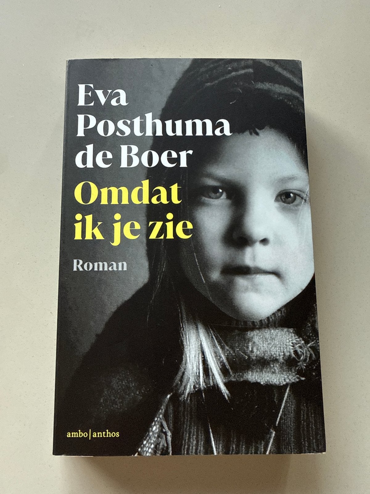 Omdat ik je zie - Eva Posthuma de Boer (Roman), Ophalen of Verzenden, Zo goed als nieuw